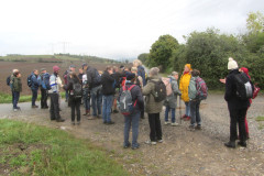 Auf dem Wanderweg zur Teufelsmauer