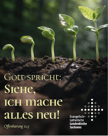 Wort zur Jahreslosung von Landesbischof Tobias Bilz